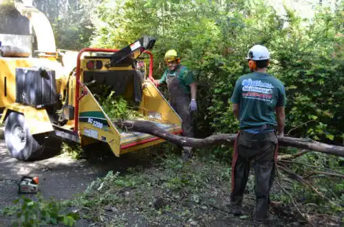 tree services St. Elmo